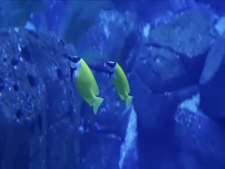 我将喜欢告诉了风