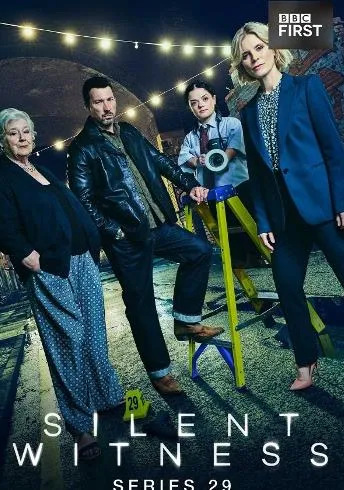 悬疑揭秘：无声的证言第二十九季剧情
