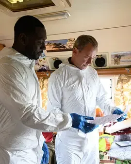 格雷斯第六季：延续英国侦探剧线索