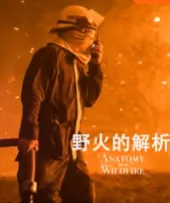 野火的解析