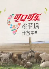 桃花坞开放中第4季