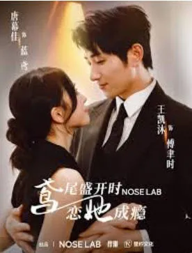 鸢尾盛开时恋她成瘾