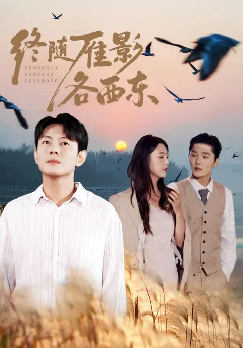 剧情跌宕的《终随雁影各西东》带你走入不一样的世界