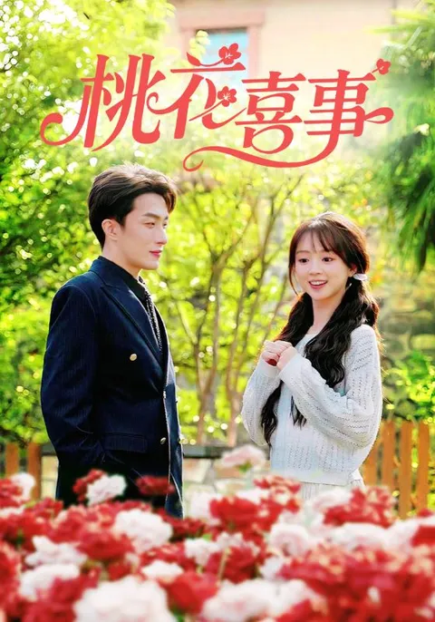 《桃花喜事》：一场精彩纷呈的剧情盛宴