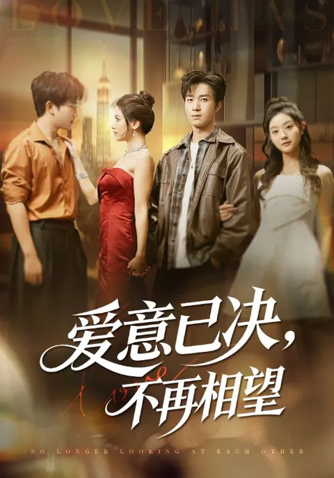 爱情抉择与重生 ——《爱意已决不再相望》