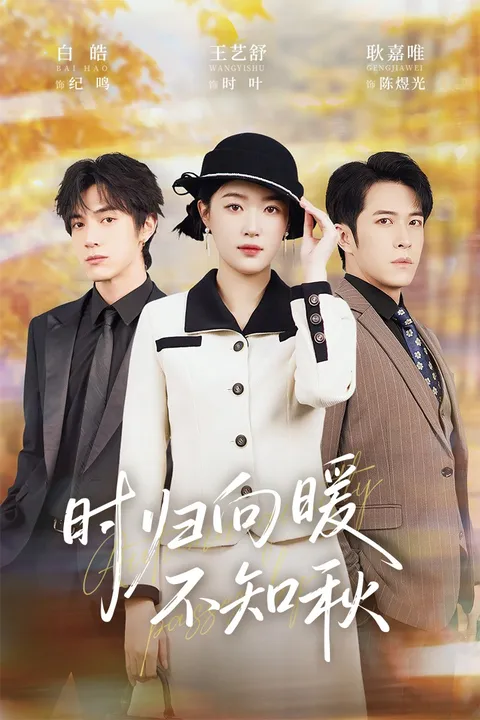 爱情纠葛——《时归向暖不知秋》