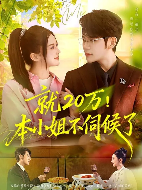 《就20万！本小姐不伺候了》剧情起伏不定