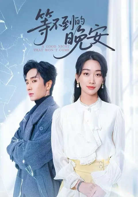 感人至深的《未说完的晚安》剧情简介