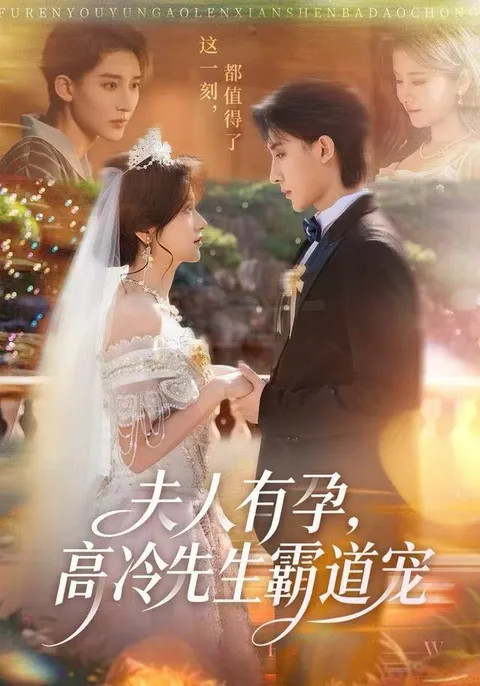 甜宠剧情：夫人有孕，高冷先生霸道宠