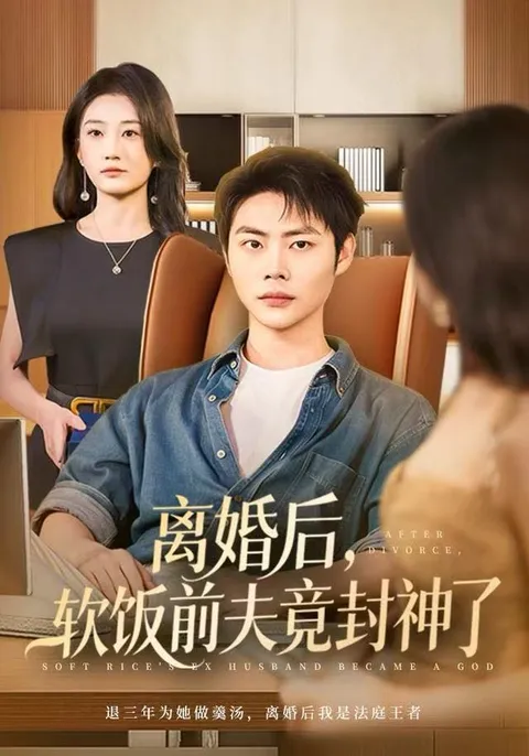 离婚后的逆袭：软饭前夫的传奇故事