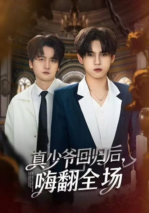 剧情爆笑-真少爷回归后