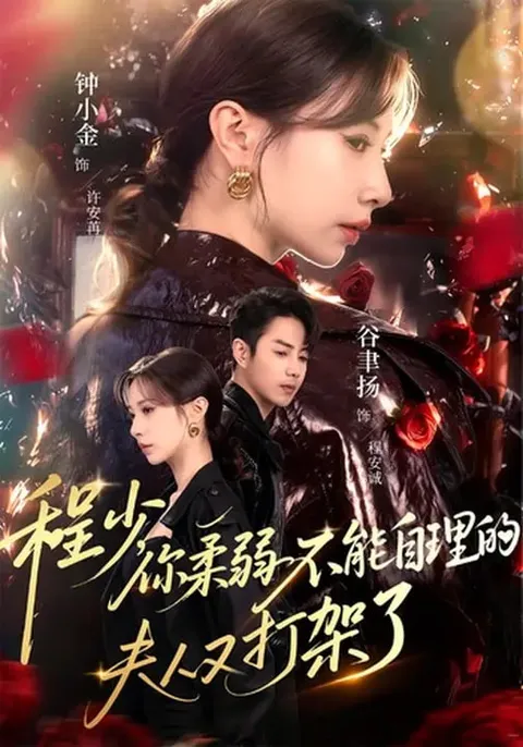 剧情紧凑，独立女性魅力展现——《程少你柔弱不能自理的夫人又打架了》