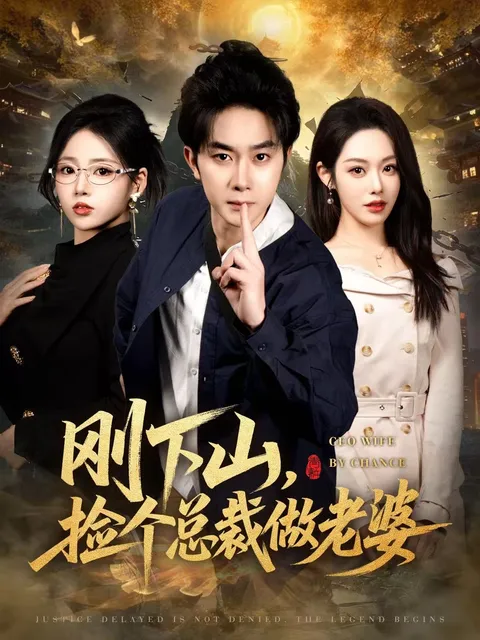 剧情回顾：《刚下山捡个总裁做老婆》