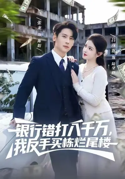 《银行错打八千万-我反手买栋烂尾楼》智慧与财富的故事