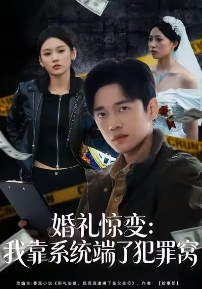 揭秘犯罪背后的真相 - 婚礼惊变的剧情精彩演绎
