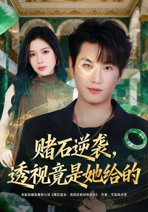 透视竟是她给的-赌石逆袭