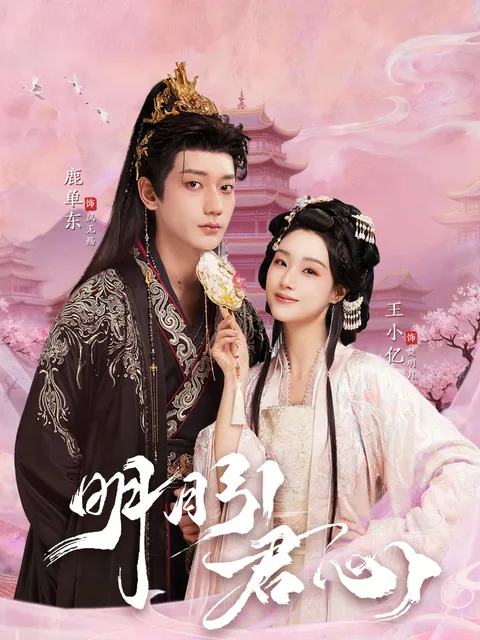 剧情吸引人的《明月引君心》