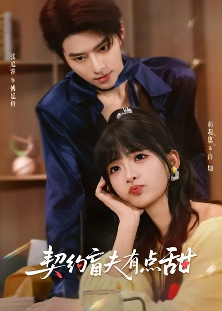 甜蜜爽剧情《契约盲夫有点甜》