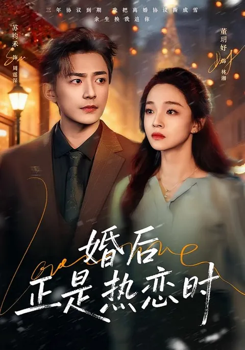 一段充满激情的婚姻 - 剧情解读