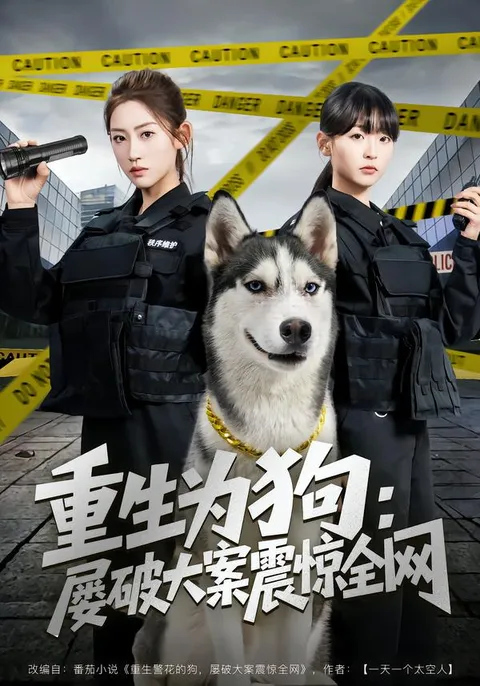 悬疑爽片《重生为狗屡破大案震惊全网》