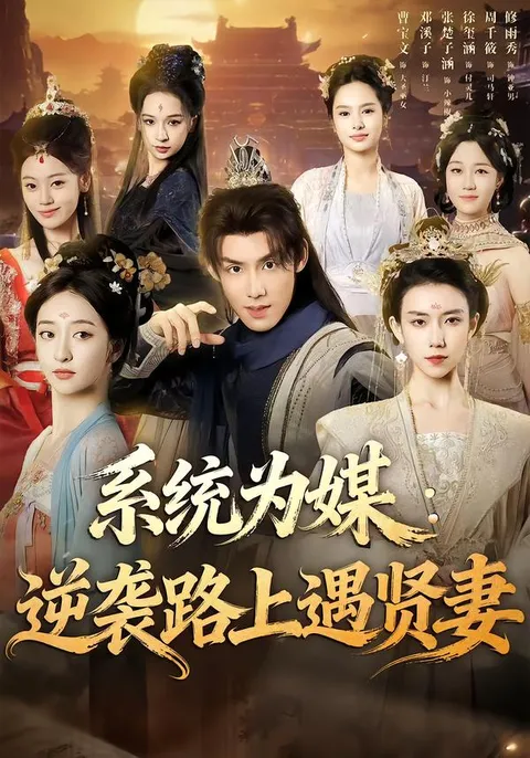 《系统为媒逆袭路上遇贤妻》剧情反转不断