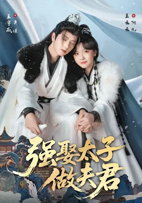 爆笑剧情——《强娶太子做夫君》