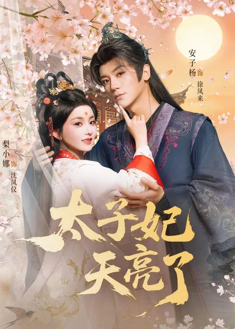 精彩剧情：《太子妃天亮了》引人入胜的反转