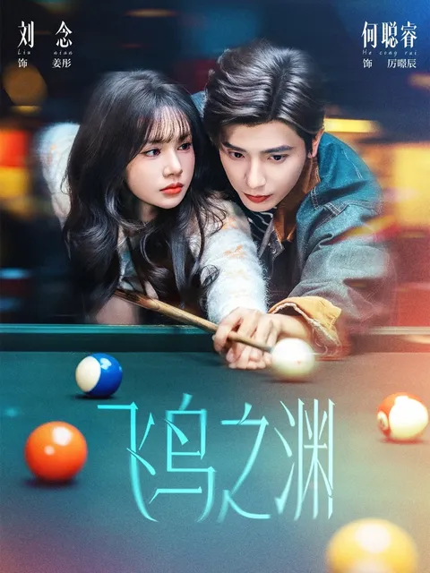 飞鸟之渊 - 悬疑快节奏的爱情剧情