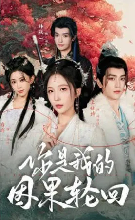 《你是我的因果轮回》剧情向简介：爽文短剧全100集合集