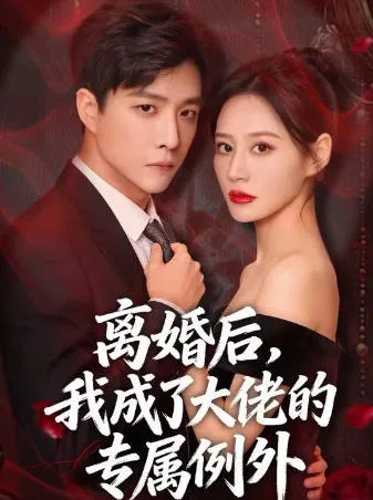 《离婚后-我成了大佬的专属例外》爽文短剧信息整理