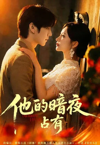 他的暗夜占有爽文短剧信息介绍