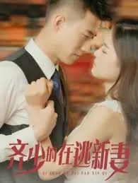 齐少的在逃新妻