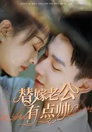 替嫁老公有点帅：轻松浪漫的都市爱情故事